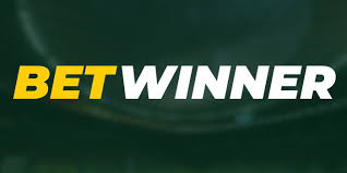 The Rise of Online Betting Understanding Bookmaker Bet The Rise of Online Betting Understanding Bookmaker Bet