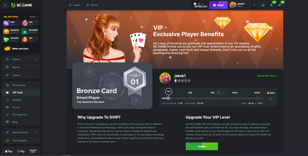 BC.Game Casino Online: Wager, Spin & Victory Instantaneously